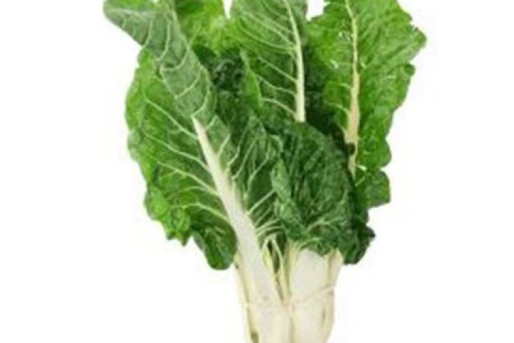 0000257_swiss-chard-spinach-bunch_510