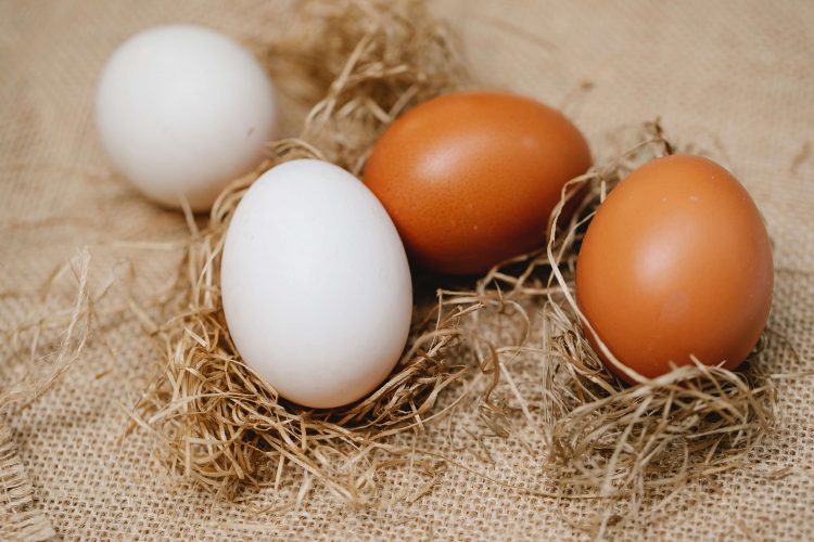 bunch of eggs